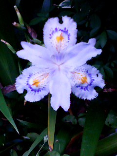 ���O�͒m��ʁc