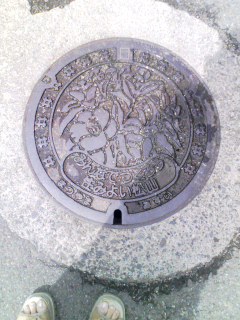 ���R�s�̃}���z�[���̊W