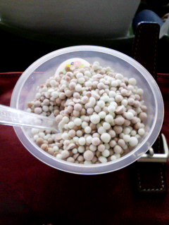 ����H���c�ƒ�